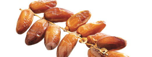 Deglet Nour : L’Algérie, premier producteur mondial