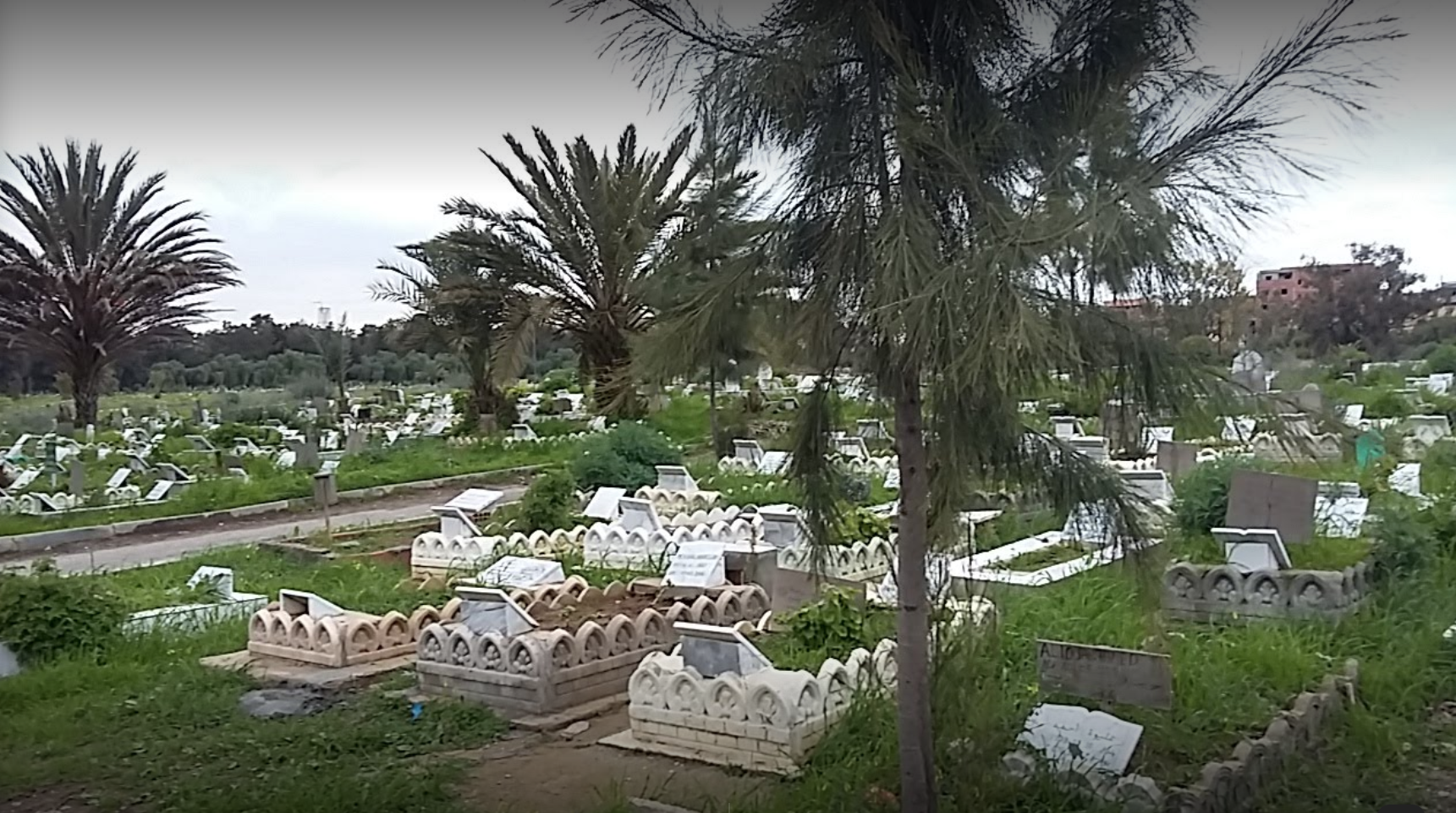 L'histoire insoupçonnée du cimetière El Alia d'Alger